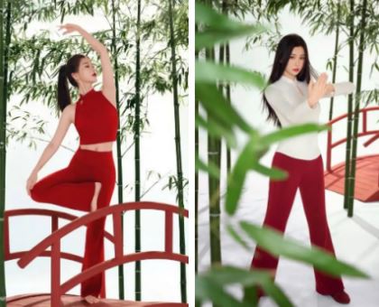 MAIA ACTIVE�Ƴ���������ϵ�� �����������˳�