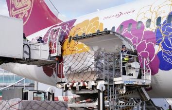 ȫά�ػ�����ʡ���š���ϲȵ�����羳ר�߹���С������������