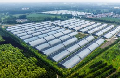 ũҵ��ữ�����������չ�������ڱ���ƽ���ٿ�