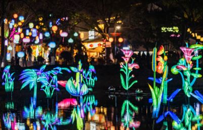 ��Ӱ����ӳ��Ϫ��Ԫ��ʢ������Բ 2026������Ϫ�ƻ�Ԫ��������